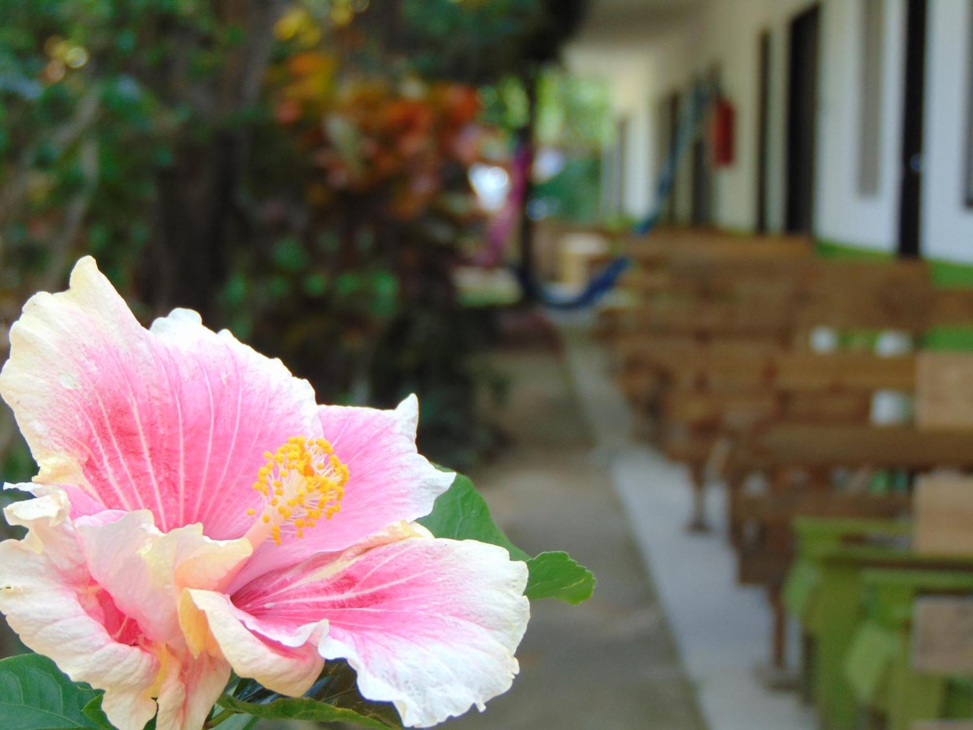 Bed and Breakfast Crucero Tulum Exterior foto